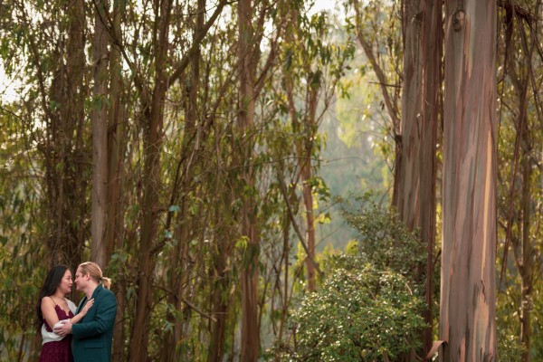 Engagement photo of couple in Eucalyptus grove 